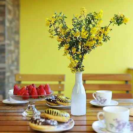 Oliva Apartment Vrsi